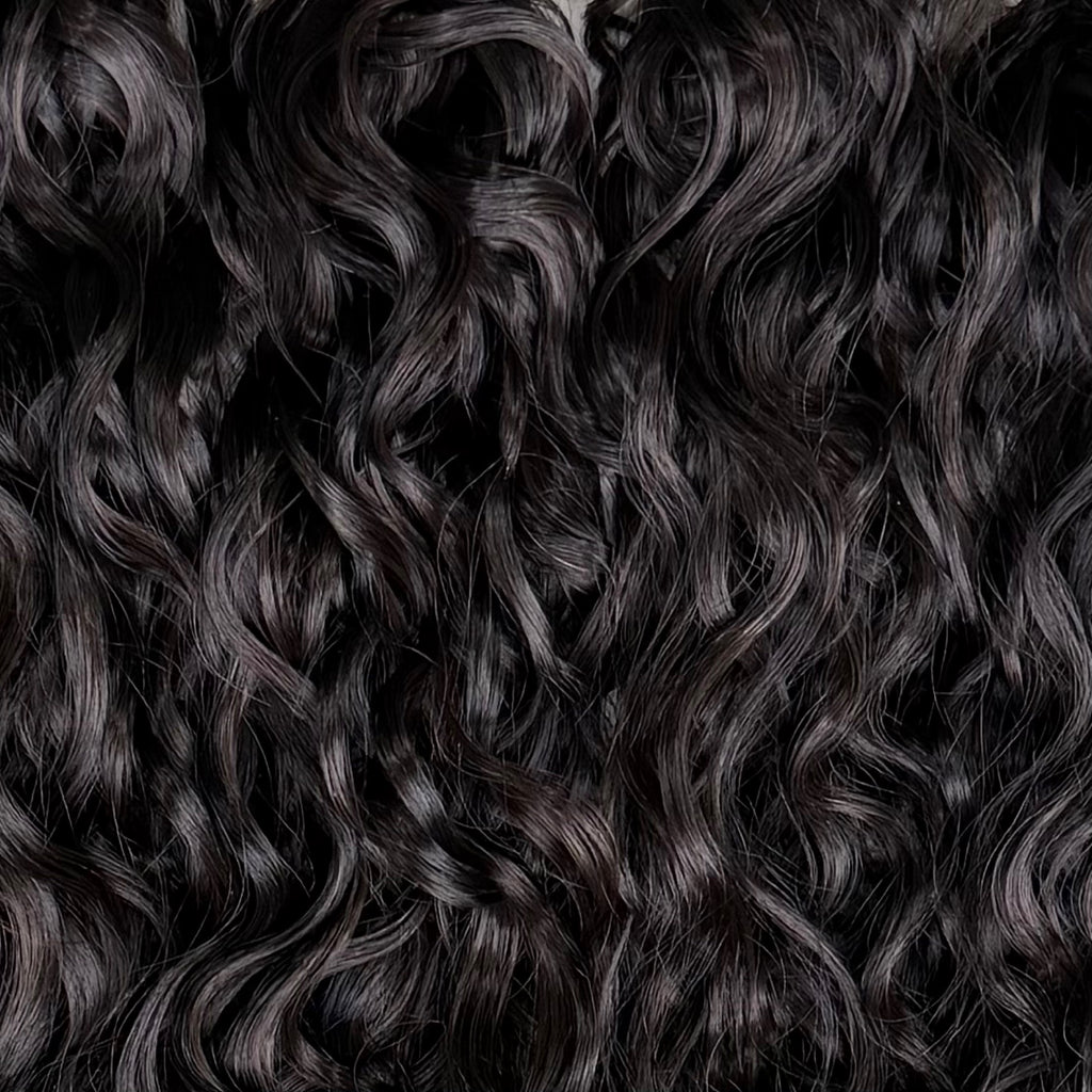 ALEGRIA - Pack complet DEEP WAVE